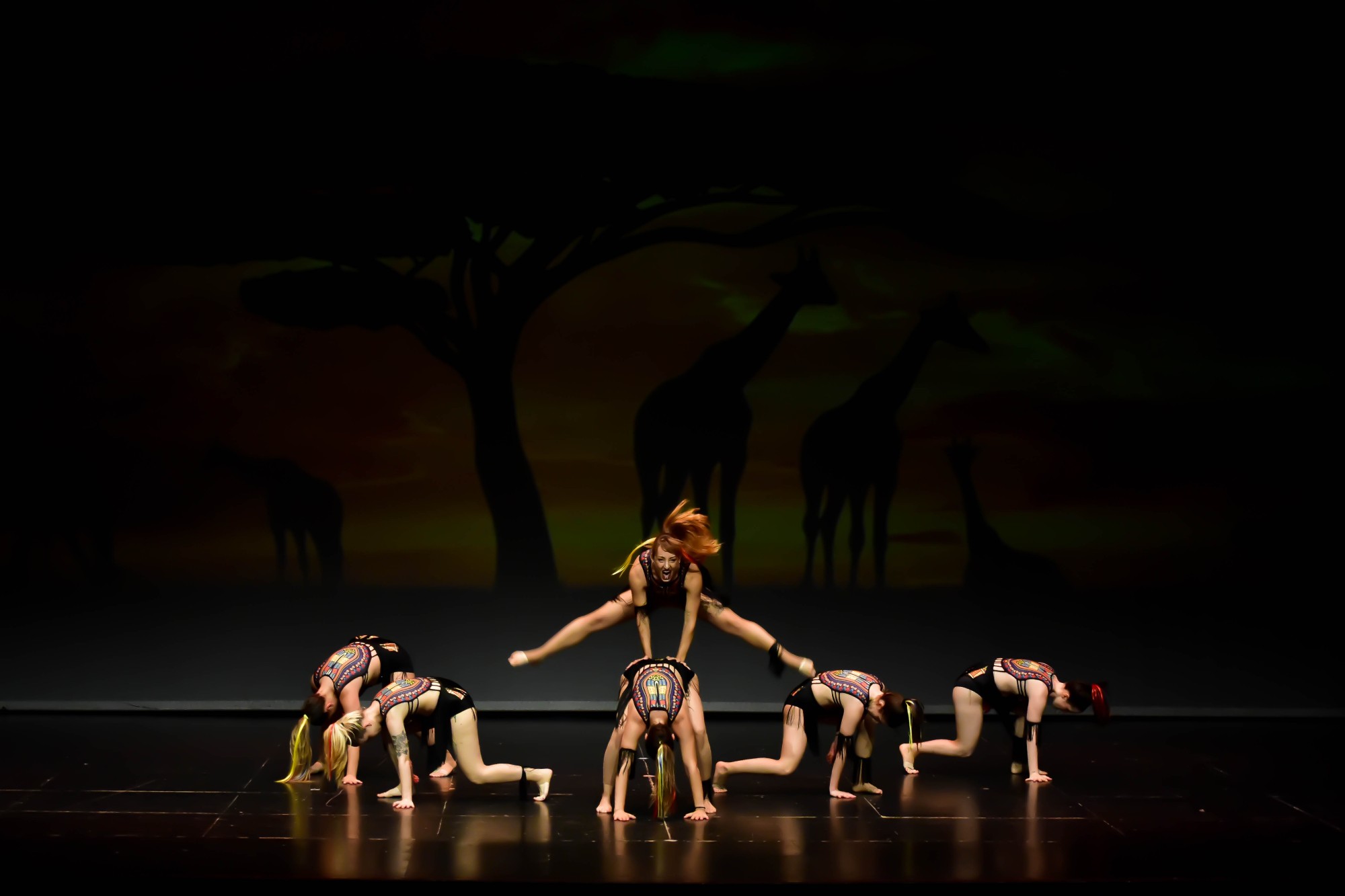 Africa (11)