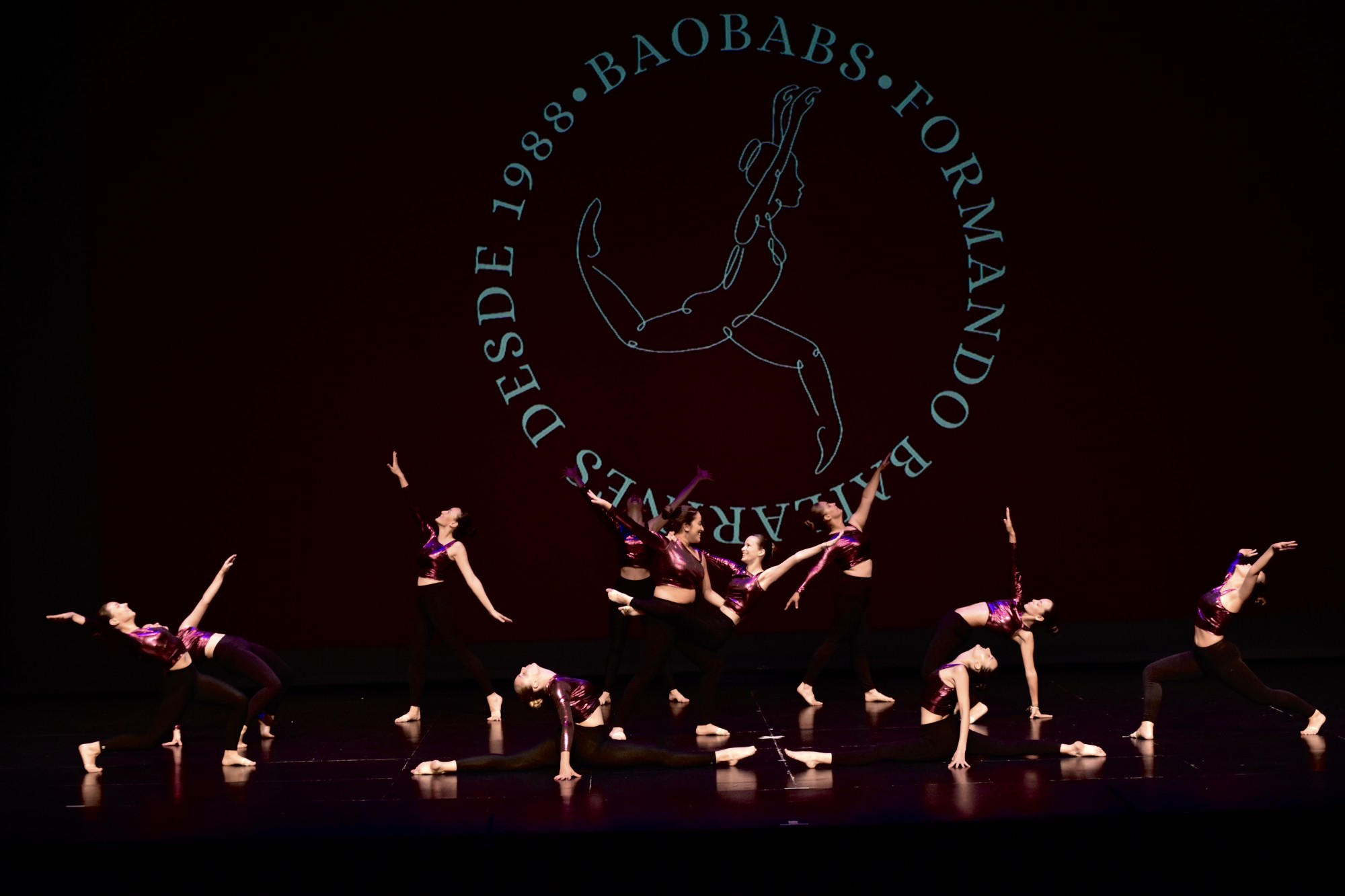 Baobabs_P1 (279)